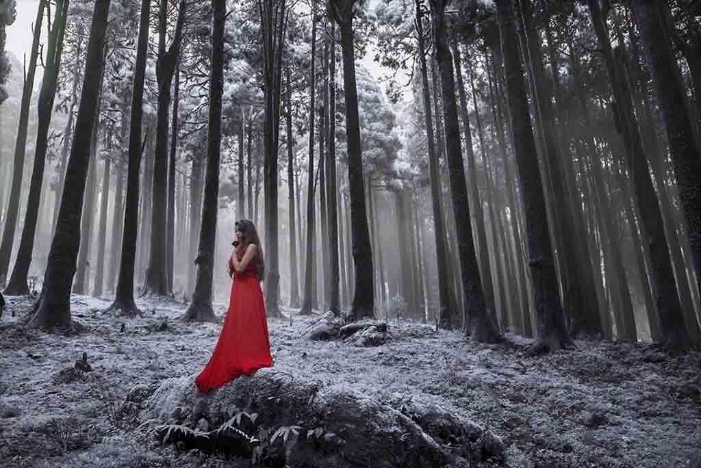 Girl in the snow
