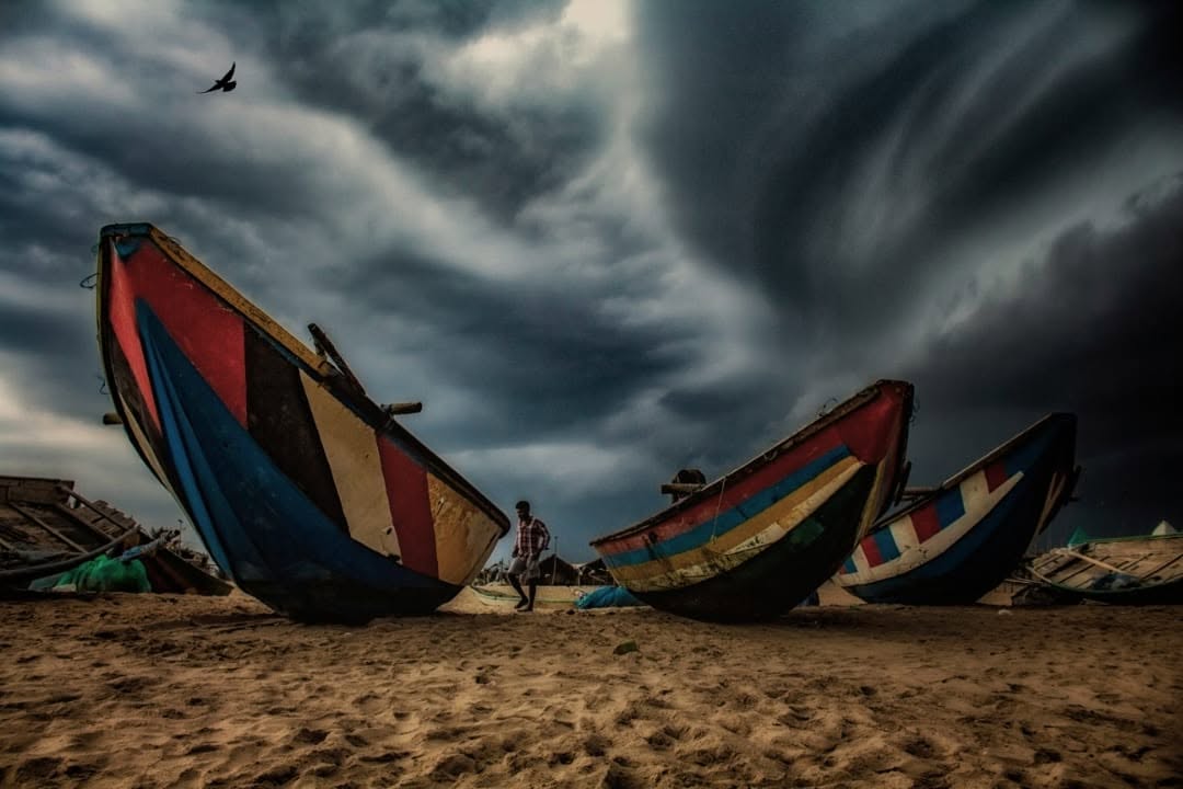 Drama in Nature