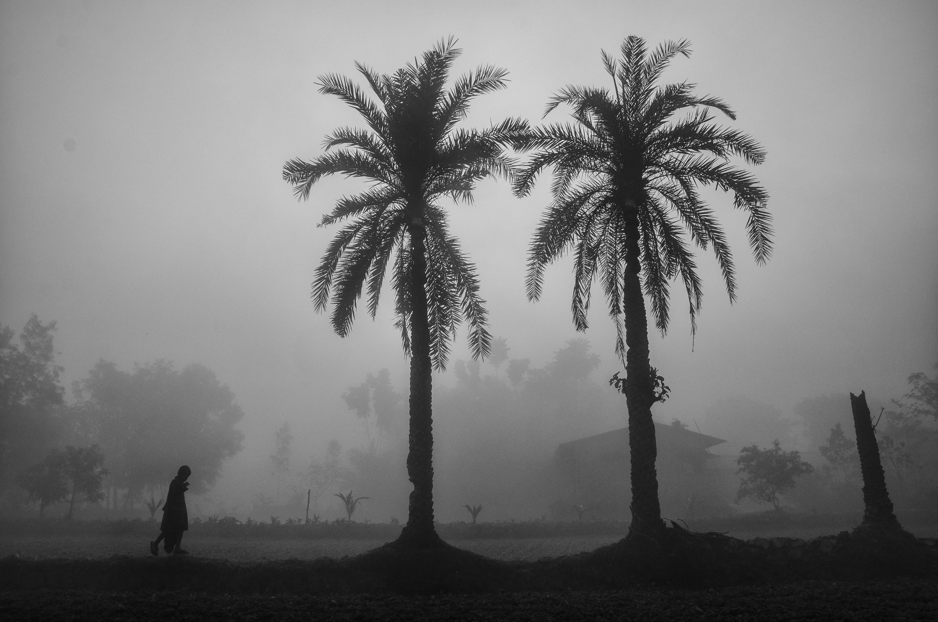 Walking Alone