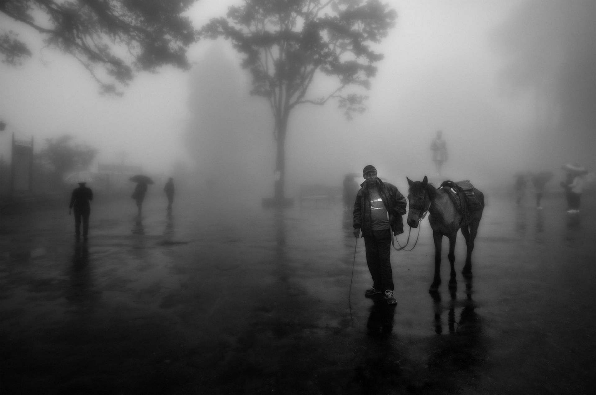 Misty Mall