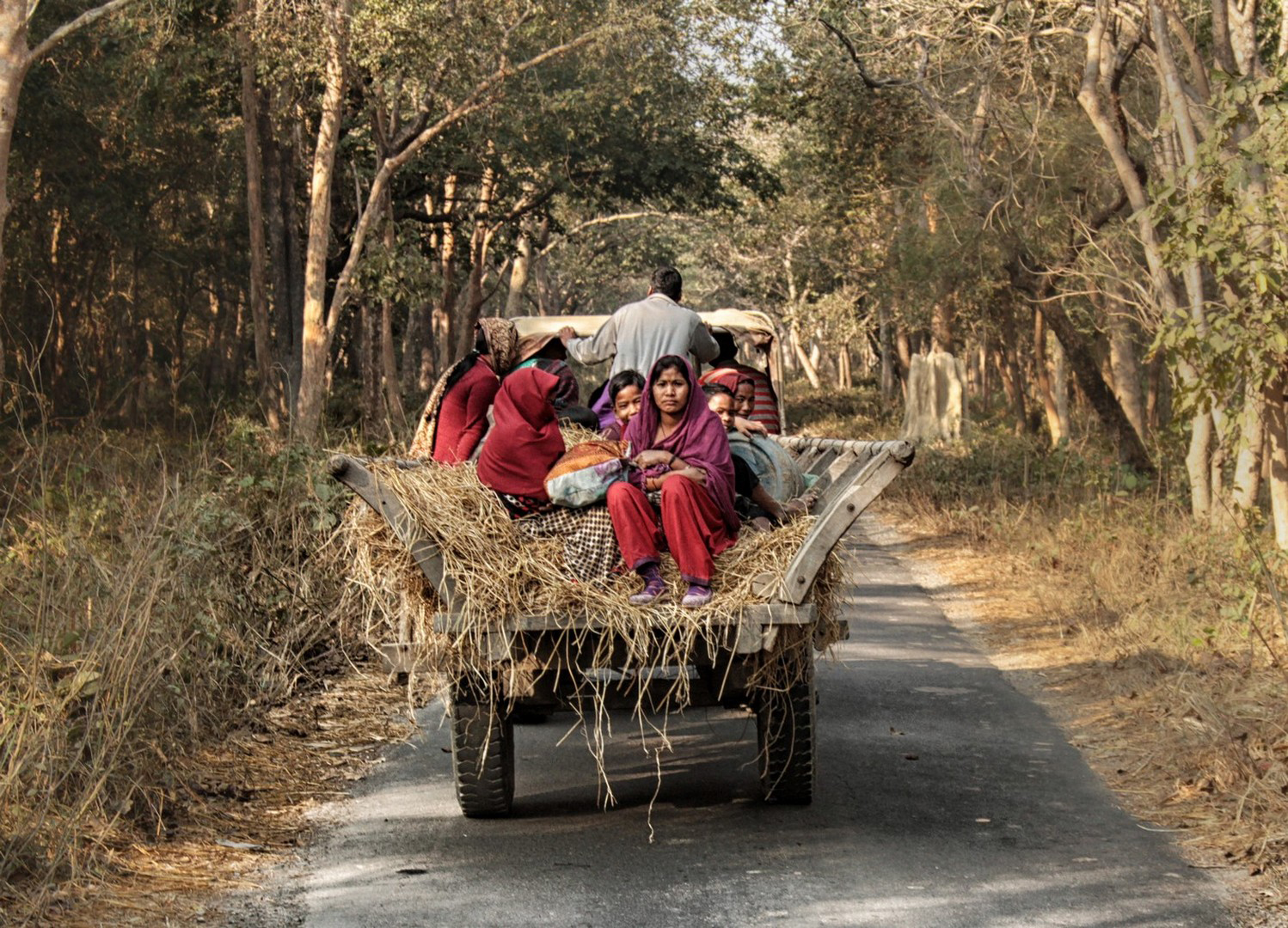Family in cart
