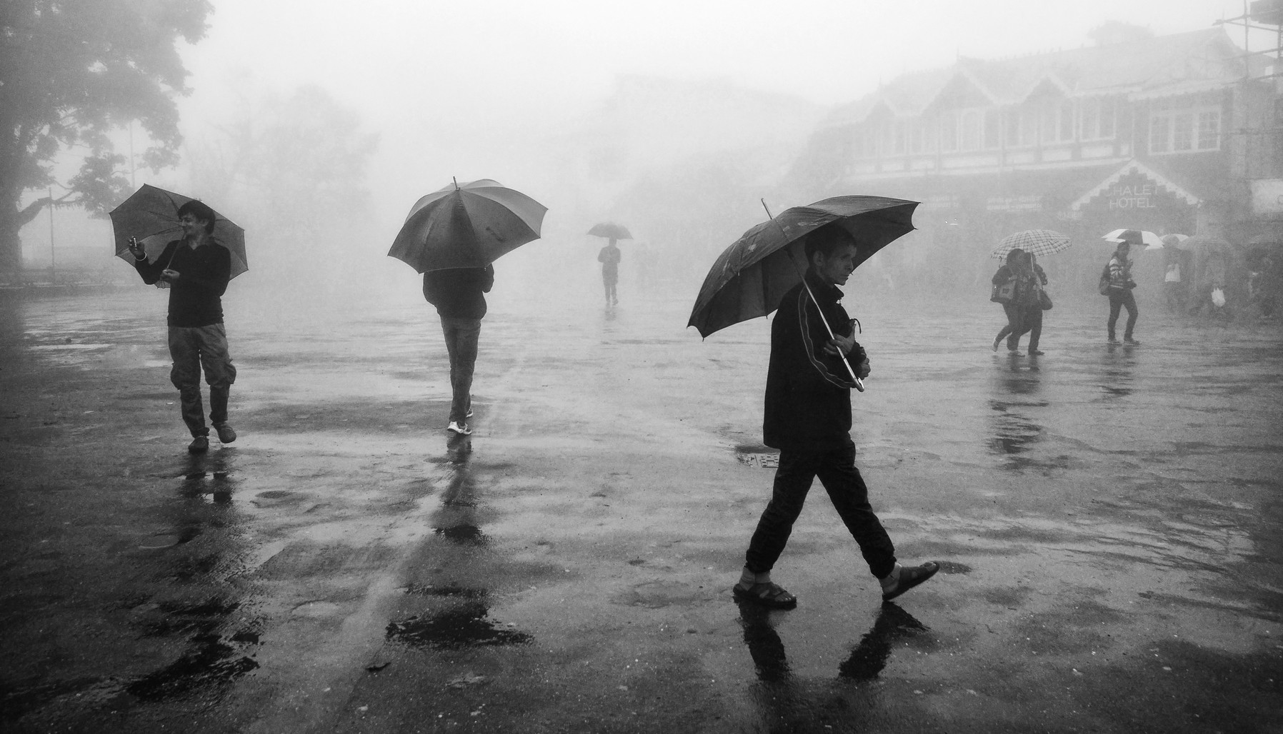 Trio in the mist