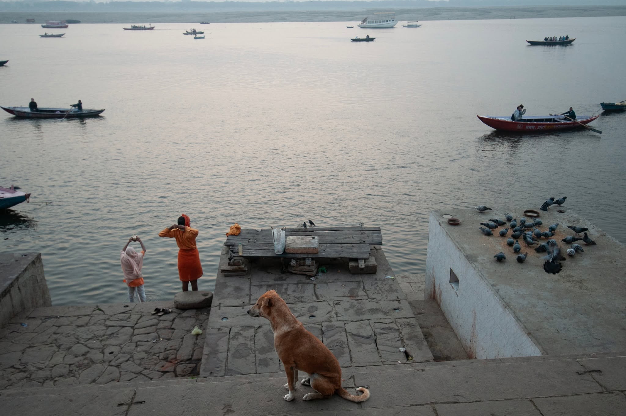 Varanasi Ghat with Dog