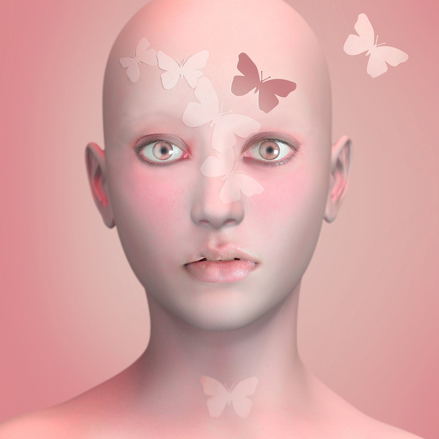 12 Cocoon
