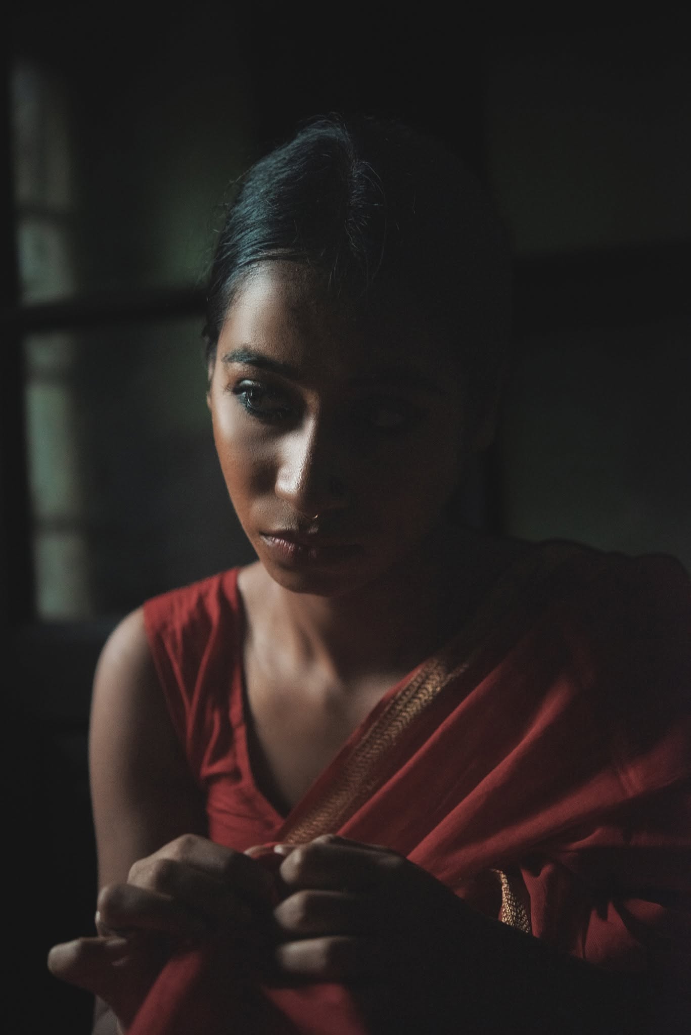 Portrait Saree