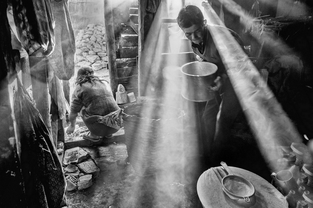 A busy winter Morn