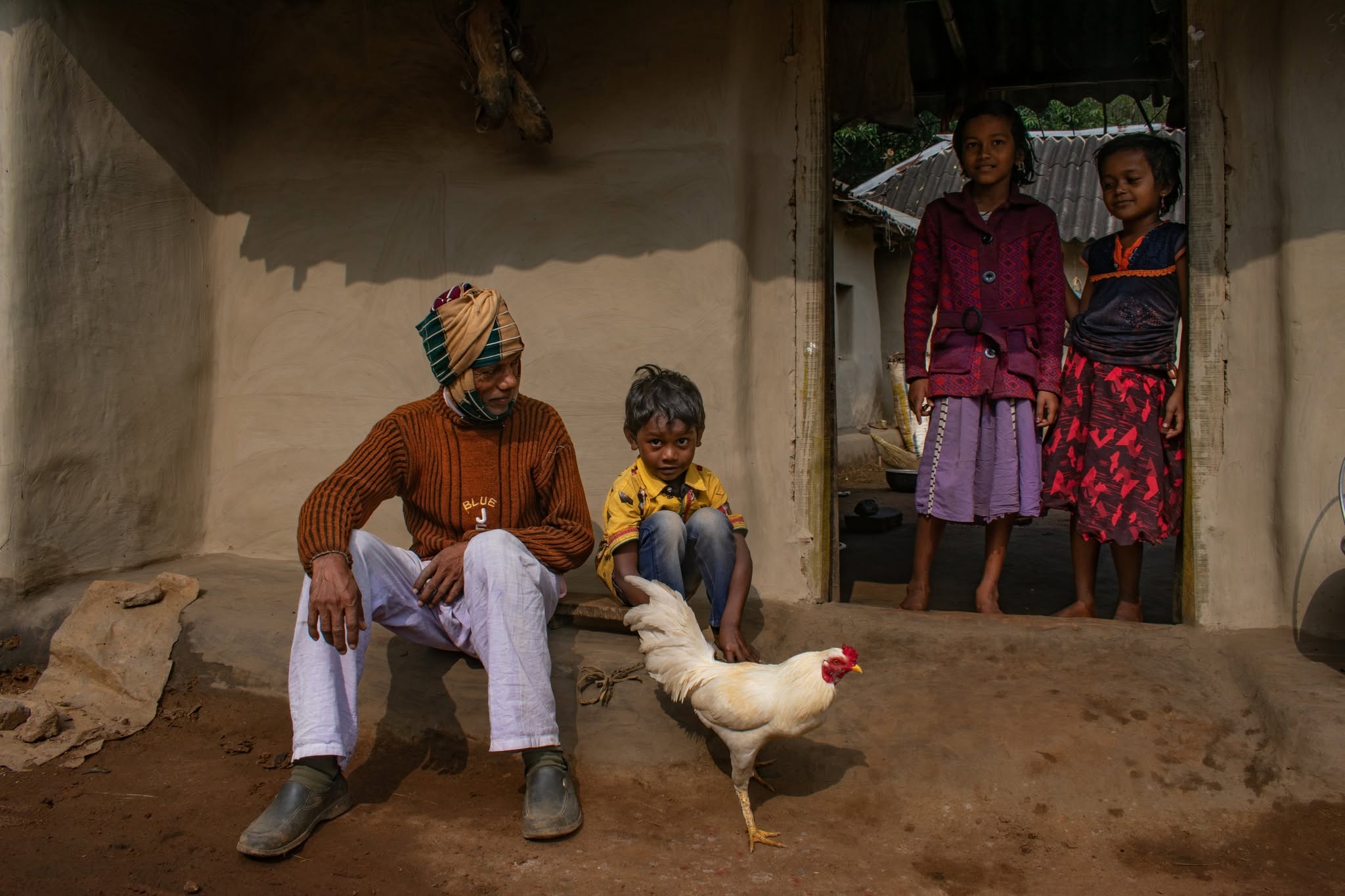 Rudal Family Rooster