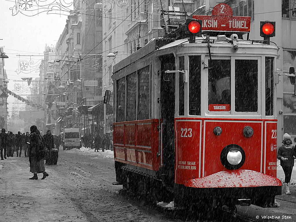 Valentina Stan Red Tram