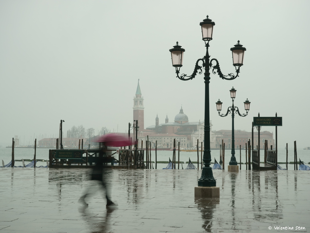 Valentina Stan Venice